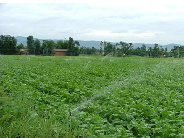 农业灌溉工程